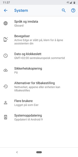 Velg Systemoppdatering