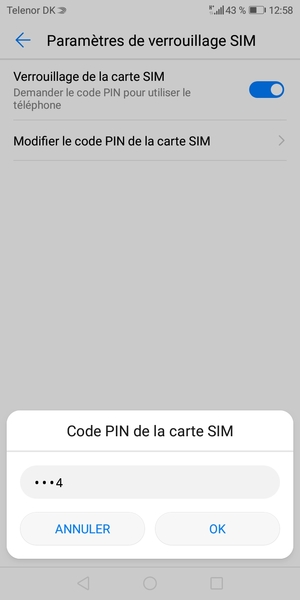 Saisissez votre Ancien code PIN de la carte SIM et sélectionnez OK