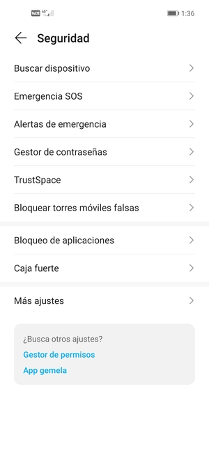 Seleccione Más ajustes