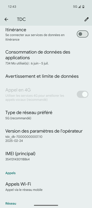 Faites défiler et sélectionnez  Type de réseau préféré