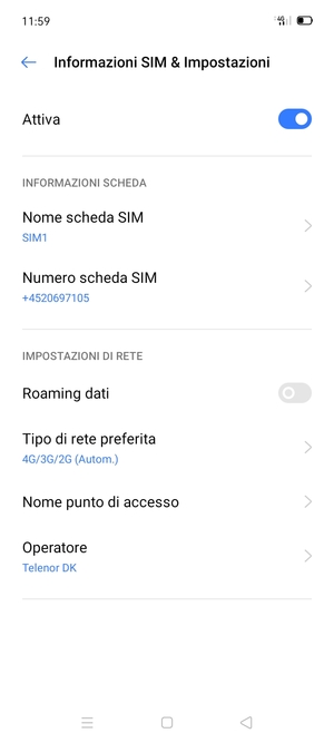 Seleziona Tipo di rete preferita