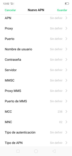 Desplácese hacia abajo e introduzca la información de Internet