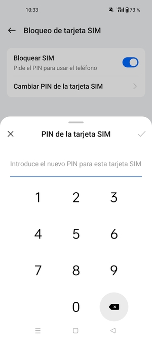 Introduzca su Nuevo PIN de tarjeta SIM y seleccione Aceptar