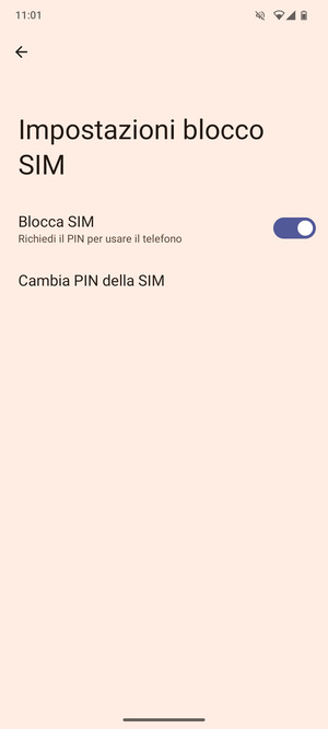 Seleziona  Cambia PIN della SIM