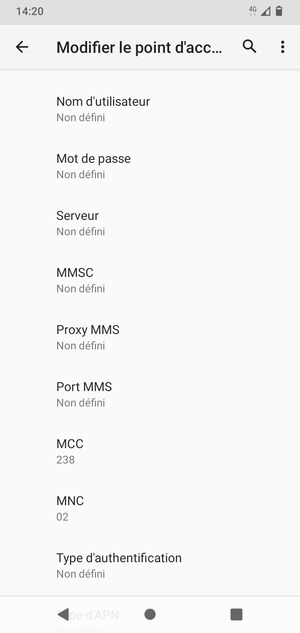 Faites défiler vers le bas et saisissez les informations Internet