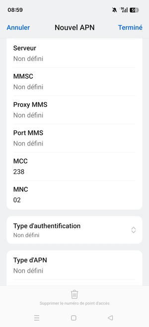Faites défiler vers le bas et saisissez les informations Internet