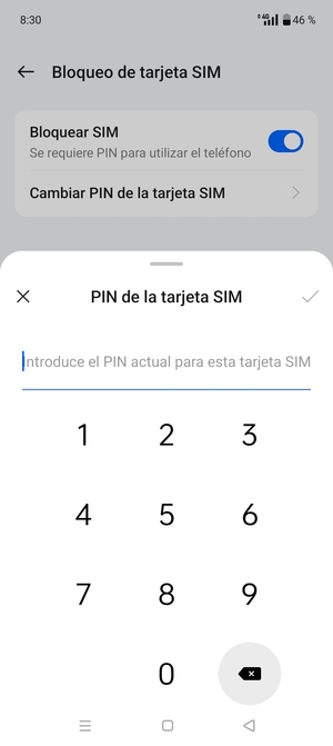 Introduzca su PIN de tarjeta SIM antiguo y seleccione Aceptar