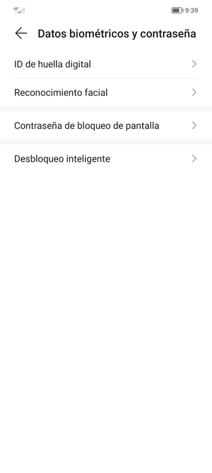 Seleccione Contraseña de bloqueo de pantalla