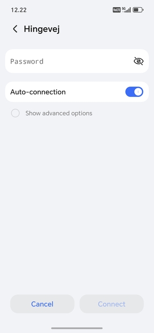 Enter the Wi-Fi password and select Connect