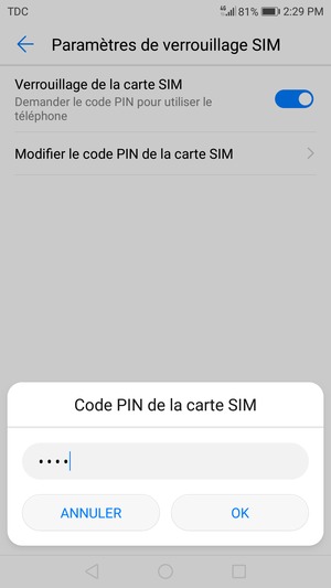 Saisissez votre Ancien code PIN de la carte SIM et sélectionnez OK