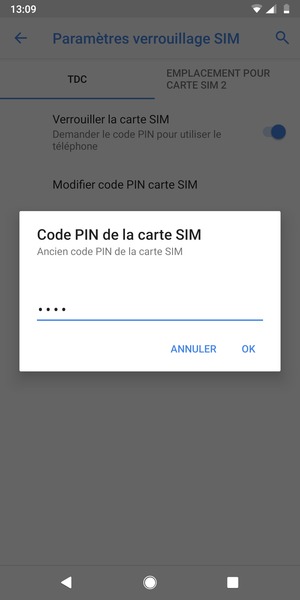 Saisissez votre Ancien code PIN de la carte SIM et sélectionnez OK