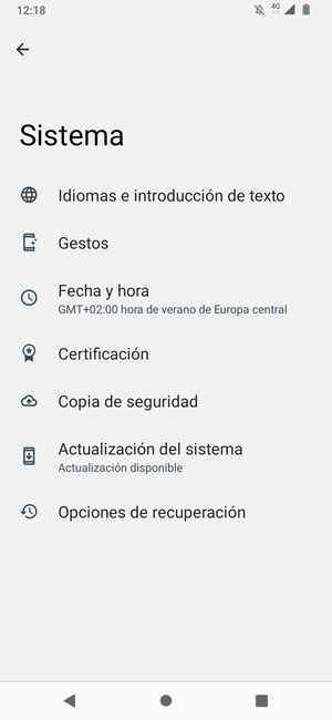 Seleccione Actualización del sistema