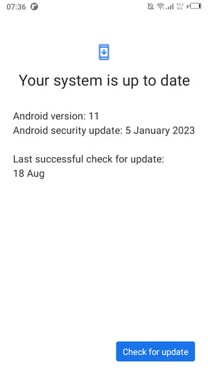 If your phone is up to date, you will see the following screen