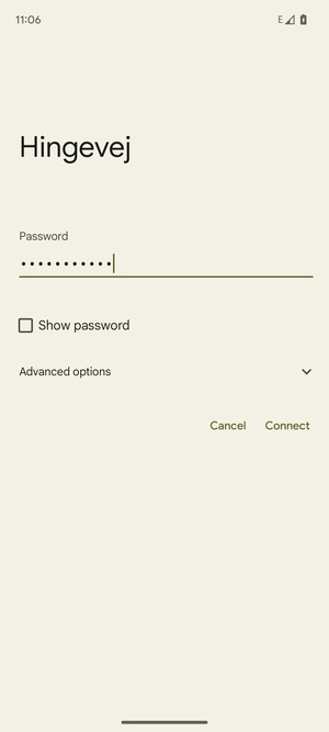 Enter the Wi-Fi password and select Connect