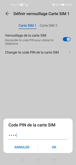 Saisissez votre Ancien code PIN de la carte SIM et sélectionnez OK