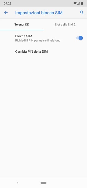 Seleziona Public e Cambia PIN della SIM