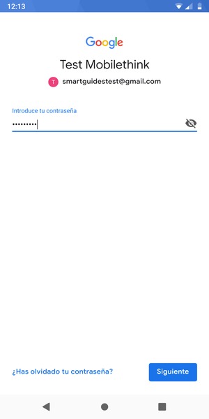 Introduzca su contraseña y seleccione SIGUIENTE