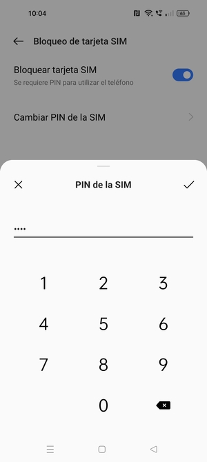 Introduzca PIN actual para esta tarjeta SIM y seleccione Aceptar