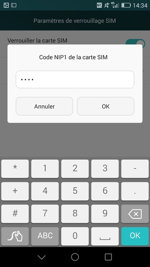 Saisissez votre Ancien code NIP de la carte SIM et sélectionnez OK