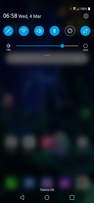 Check the Auto checkbox