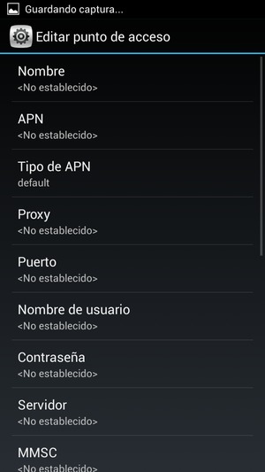 Introduzca la información de Internet
