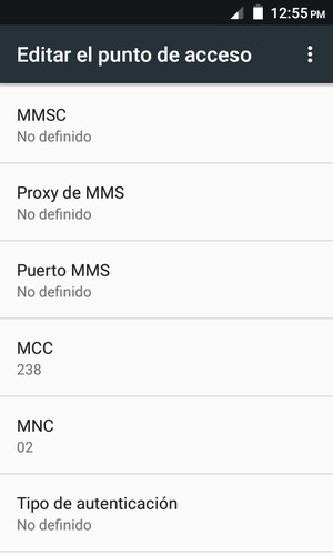 Desplácese hacia abajo e introduzca la información MMS