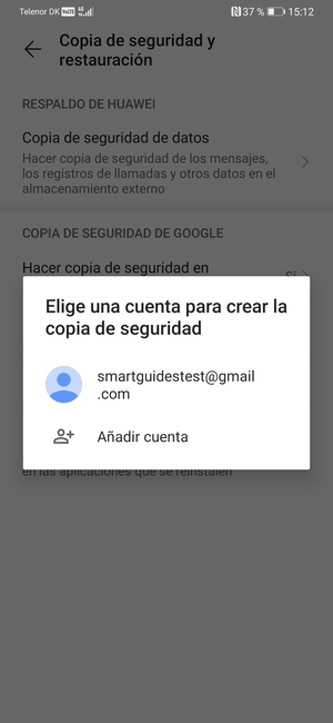 Seleccione su cuenta de copia de seguridad