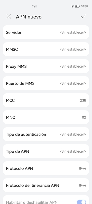 Desplácese hacia abajo e introduzca la información de Internet