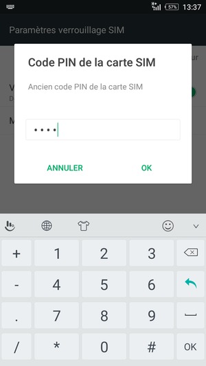 Saisissez votre Ancien code PIN de la carte SIM et sélectionnez OK