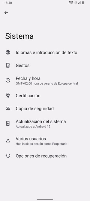 Seleccione Actualización del sistema