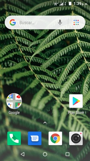 Seleccione Play Store