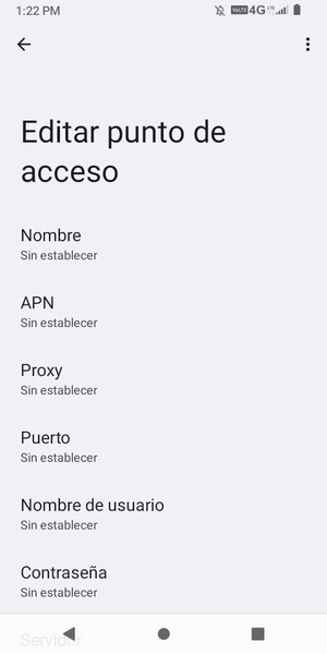 Introduzca la información de MMS