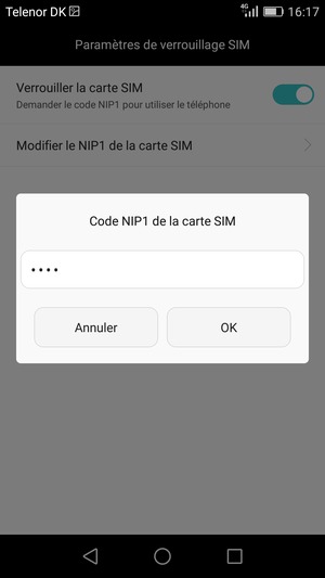 Saisissez votre Ancien code NIP de la carte SIM et sélectionnez OK