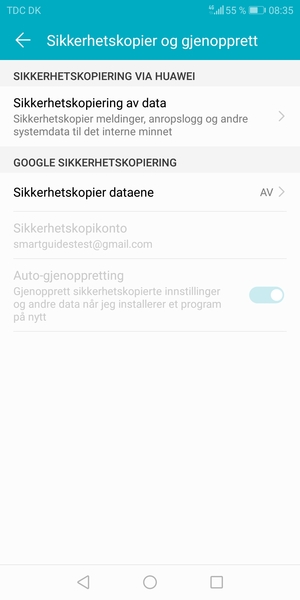 Velg Sikkerhetskopier dataene