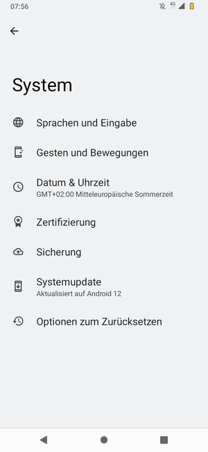 Wählen Sie Systemupdate