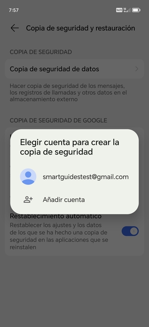 Seleccione su cuenta de copia de seguridad
