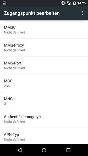 Scrollen Sie nach unten und geben Sie Ihre Internetinformationen ein