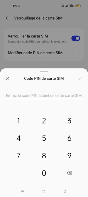 Saisissez Code PIN actuel de carte SIM et sélectionnez OK