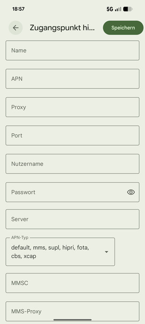 Geben Sie Internet-Informationen ein