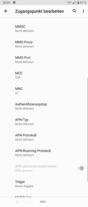 Scrollen Sie nach unten und geben Sie Internetinformationen ein