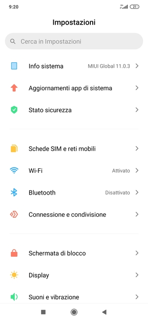 Seleziona Info sistema