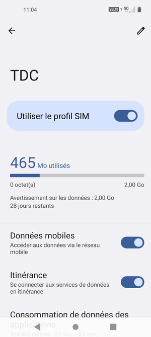 Activer ou désactiver Itinérance