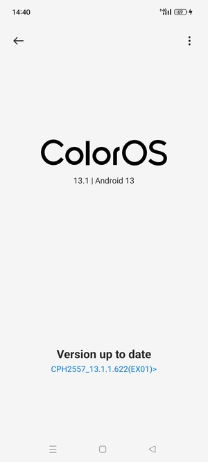 If your phone is up to date, you will see the following screen