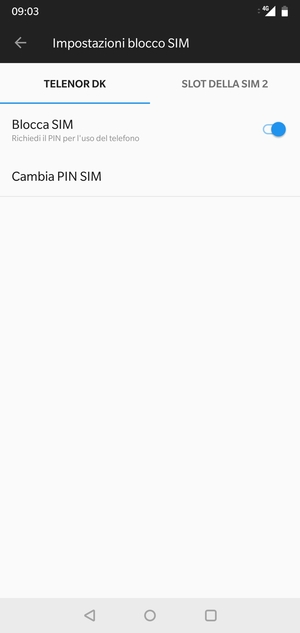 Seleziona Public e Cambia PIN SIM