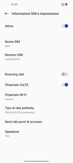 Seleziona Tipo di rete preferita