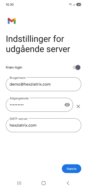 Indtast Udgående serveradresse og vælg Næste