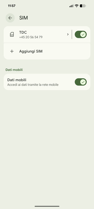 Seleziona Aggiungi SIM
