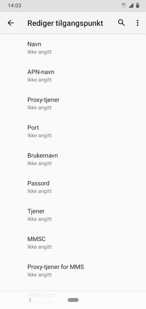 Skriv inn internett-informasjon