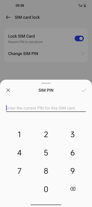 Enter your Current SIM PIN and select OK