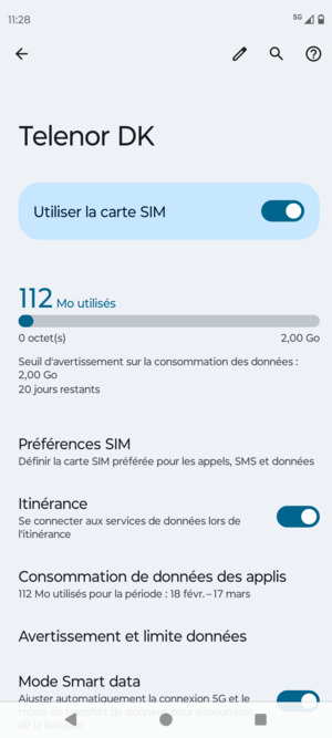 Activer ou désactiver Itinérance